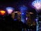 Night view of the artificial trees of the Gardens of the Bay with their spectacular lighting in different shades of color and the