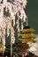 Night view of the famous Five-Story Pagoda & blossoms of a giant sakura tree in Toji Temple, Kyoto