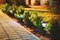 Night View Of Flowerbed Illuminated By Energy-Saving Solar Powered Lanterns Along The Path Causeway On Courtyard Going