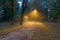 Night view : landscape of alleyway with street lamps at misty night. dark street illuminated with street lights. Romantic or drama