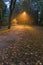 Night view : landscape of alleyway with street lamps at misty night. dark street illuminated with street lights. Romantic or drama
