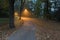 Night view : landscape of alleyway with street lamps at misty night. dark street illuminated with street lights. Romantic or drama