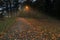 Night view : landscape of alleyway with street lamps at misty night. dark street illuminated with street lights. Romantic or drama