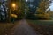 Night view : landscape of alleyway with street lamps at misty night. dark street illuminated with street lights. Romantic or drama