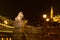 Night view lion statue at the Chain bridge, Budapest, Hungary