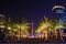 Night view palm trees at Huacheng Hui