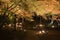 Night view of the red maple trees and garden at Daigo-ji Temple, Kyoto, Japan