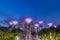 Night view of super tree grove in Gardens by the Bay in Singapore