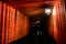 Night view at tunnel of torii gates at Fushimi Inari shrine in Kyoto