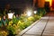 Night View Viola Flowerbed Illuminated Energy-Saving Solar Power