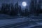 Night, winter forest in the moonlight