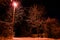 Night winter landscape. Glowing lamppost illuminates the snowed branches trees and the road