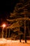 Night winter landscape. Glowing lamppost illuminates the snowed branches trees and the road