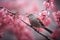 Nightingale Amidst Pink Cherry Blossoms Hopping in Nature\\\'s Symphony. Generative Ai.