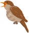Nightingale bird animal cartoon character