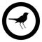 Nightingale Luscinia Bird silhouette icon in circle round black color vector illustration flat style image