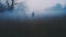 Nightmare Wanderings: A Hauntingly Beautiful Image Of A Person Lost In The Fog