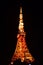 Nightscape of Tokyo tower, Japan