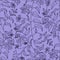 Nightshade. Floral decorative pattern. Seamless pattern of dark contours on a light purple background