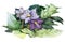 Nightshade violet flowers with green leaves watercolor illustration. Solanum botanical toxic medical herb purple blossoms. Bloomin