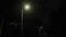nighttime lighting, lit road, street lanterns