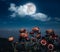 Nighttime sky with clouds and full moon with shiny