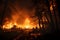 Nighttime wildfire, firefighters combat untamed forest inferno