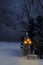 Nighttime winter scene with lamp post