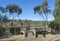 Nigretta Falls Viewing Platform, During Dry Season, Southern Grampians, VIC