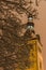 Niguliste church through snowbound tree branches by night