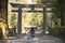 NIKKO, JAPAN - FEBRUARY 22, 2016 : concrete stairs pathway to To