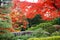 The Nikko Shoyoen garden at nikko in japan