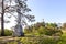 Nikolsky Island, Valaam. Poklonny cross