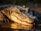 Nile crocodile Kruger Park South Africa