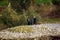 Nile River, near Aswnm, Egypt, February 21, 2017: Three Egyptian fishermen dressed in djellaba and turban on the banks of the Nile