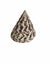 NILE TOP SHELL, has a uniform cone shape, bent like a pagoda.