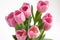 Nine beautiful pink tulips isolated on white background.