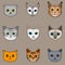 Nine cat breeds in cute cartoon style on beige background