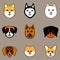 Nine dog breeds in cute cartoon style on grey background