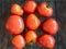 Nine fresh red tomatoes