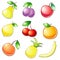 Nine glossy fruit icons