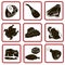 Nine icons meat different