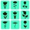 Nine icons silhouettes of flowers in turquoise squares