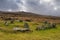 Nine Maidens Bronze Age cairn circle under Belstone Tor and stormy sky, Dartmoor National Park, Devon