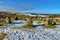 Nine Maidens Stone Circle, Dartmoor winter