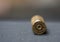 Nine Millimetre (9mm) bullet shell casing cartridge