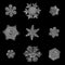Nine snowflakes isolated on black background