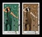 Nine of wands. Tarot cards. Young woman looking away, holding a wand surrounded by flowers and leaves; Eight sticks in the