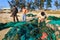 Ninh Thuan, Vietnam - Feb 22, 2014 : Fishermen is removing unusable fishing net at My Hiep beach in the afternoon