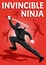 Ninja Isometric Poster